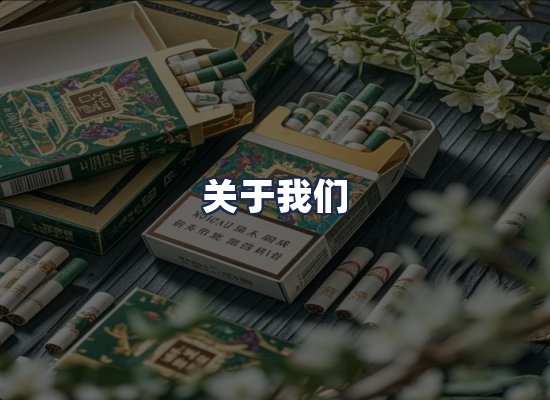 关于我们